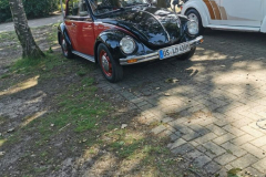 Oldtimertreffen-Alfsee008