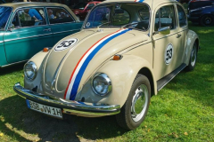 Oldtimertreffen-Alfsee019